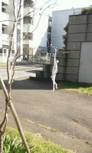不動岡／学芸／Ａ理／jazz／pf／B'z／おに魂
