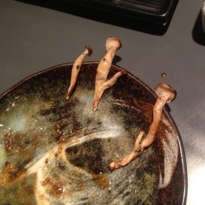 柵ギャ