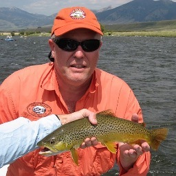 kferguson8's profile picture. 