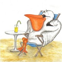 Rainer Hitzler (@kidsundlit) Twitter profile photo