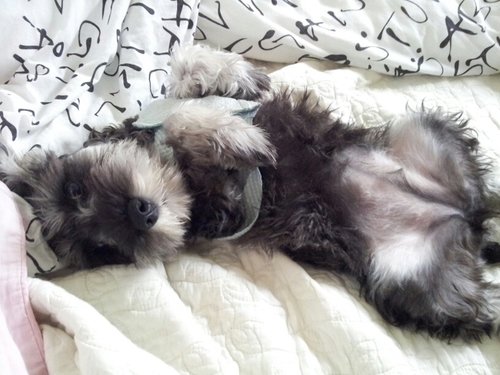 dbrownaniel257's profile picture. add me on instagram dbr0wn257