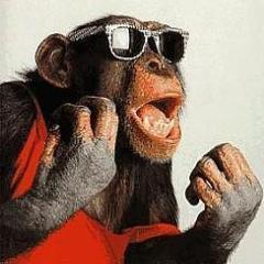 dambag1's profile picture. 