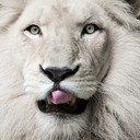 David Bausmith - @DavidBausmith1 - Twitter