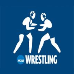 WrestlingResult's profile picture. 