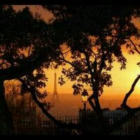 Willem (@willnag3) 's Twitter Profile