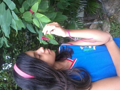amo a one direction i love one direction  i love harry
