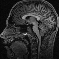 Aaron Oliver-Taylor (@aayotee) 's Twitter Profile