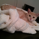 Karin vitale - @karinvitale7 - Twitter