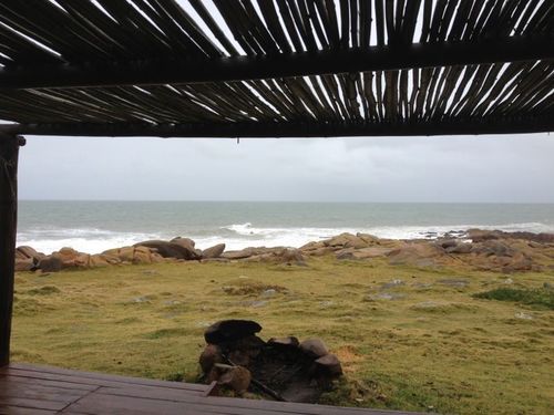 salfadi's profile picture. 