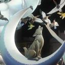 Carmen Lucas Escobar - @CarmenLucasE - Twitter