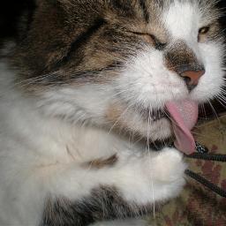 buzya83's profile picture. День прошёл зря, если я не выпил. ВСЕ КТО ХОТЬ РАЗ ПИЛ ЧЕРНИЛО, ДОБАВЛЯЕМСЯ И РЕТВИТИМ #followback #RT #teamfollowback взаимный фолловинг