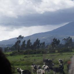 carlospalomequ1's profile picture. 