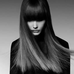 JPiscuc's profile picture. 