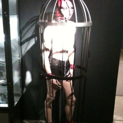 DrSchroa's profile picture. 