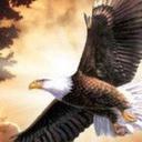 EDISON CASTRO - @edisoncastro_ - Twitter