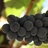 Avatar de vintools