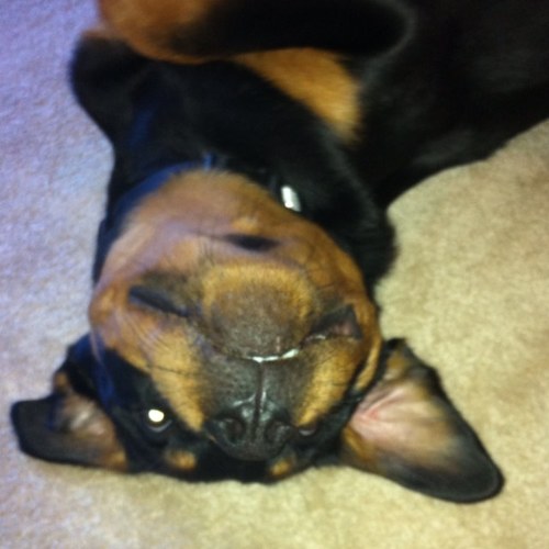 aratbay's profile picture. 