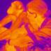 Cat Hobaiter (@nakedprimate) Twitter profile photo Cat Hobaiter (@nakedprimate) Twitter profile photo