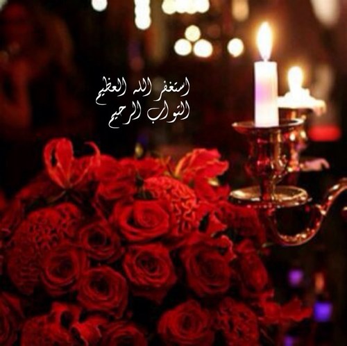 sisi3366's profile picture. ✋عذراً لا اقبل متابعة اشخاص رمزياتهم او منشوراتهم فيها شي من جسد الانثى سواً كانت يد او عين او شفه او شعر واشياء اخرى لاتذكر