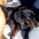 Gregory Morrow - @glmorrow - Twitter