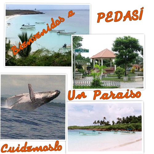 Pedasiunparaiso's profile picture. Pueblo Alegre hermoso rodeado de playas y una Isla Divina
