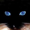 Carol Bugg - @CarolBugg - Twitter