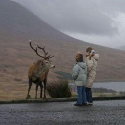 memoaleman's profile picture. 