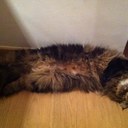 Barbara Negri - @negri_barbara - Twitter