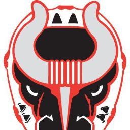 Birmingham Bulls