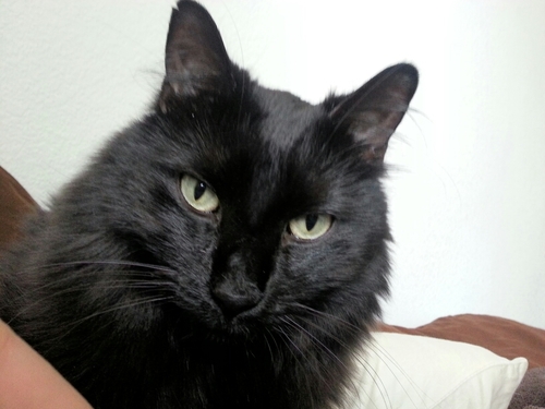 Jacob_Aragon's profile picture.