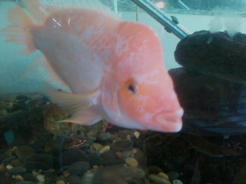 Samone5663's profile picture. 