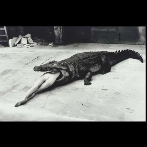 ameliebranchu's profile picture. 