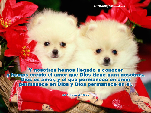 I ♥ YOU :)