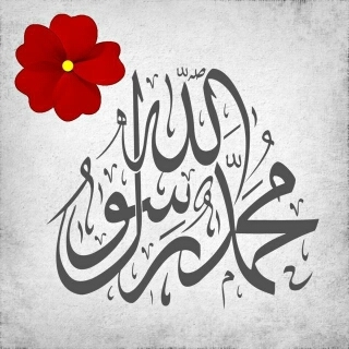إن كنت سأشتاق، سأشتاق لزمن كان الرسول به حيا❤️صلوا عليه وسلموا تسليما ❤️هذا الحساب صدقه جاريه لي و لوالديَّ ولمن أحب ❤️