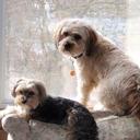 Jane Core - @jacore03 - Twitter