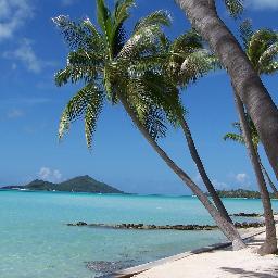 forensicblonde's profile picture. 