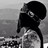 freestylevideo's profile image