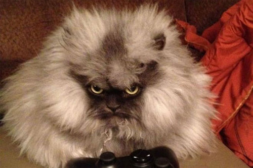 new to twitter, im grumpy