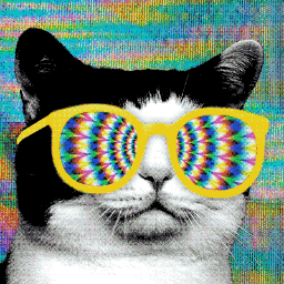 berryboolean's profile picture. I liek kitsch more than 2 slieces of toast. Also I am perfect.