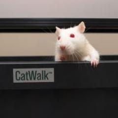 CaseAnalysisPro's profile picture. 