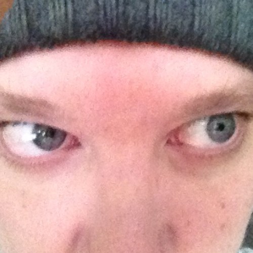 crosswordboy's profile picture. snarky. jaded. misanthropic.