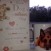 paula duncan (@paulaj73) Twitter profile photo paula duncan (@paulaj73) Twitter profile photo