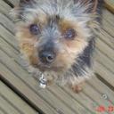 robert langan - @langan1 - Twitter