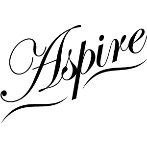 Aspire Leotards are designed for competition with elegance, style, comfort and performance in mind. Gymnastics is the heart of everything we do.