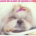 Beverly Miles Bianco - @820Ladybug - Twitter