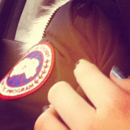 I love canada goose! All my pics are of my jacket.