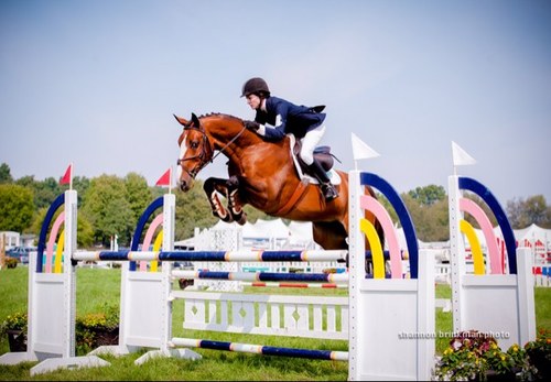 DanicaHotma's profile picture. 