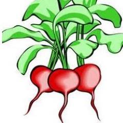 Mother's Inc. a specialty foods company using ingredients from our own gardens or orchard or local to us. 
We plant it, pick it and preserve it!