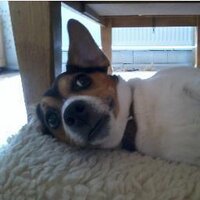 J S (@justin_smid) 's Twitter Profile