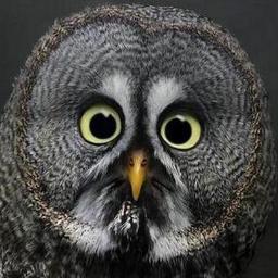 crm1911's profile picture. 
